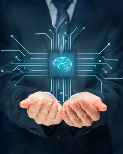 défense des intérêts français